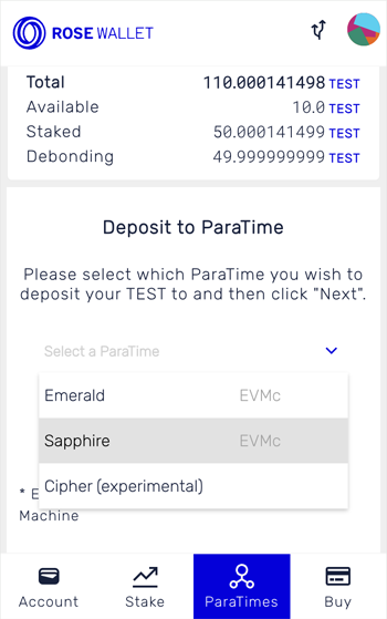 Deposit tokens: Select ParaTime